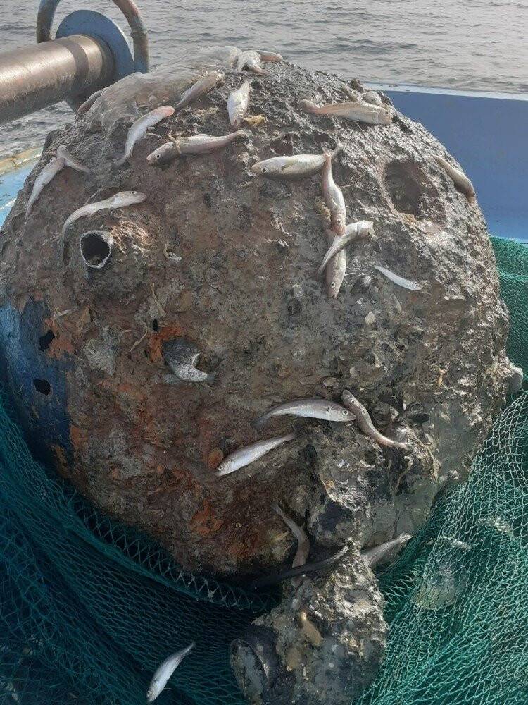 Balıkçıların ağına mayın takıldı