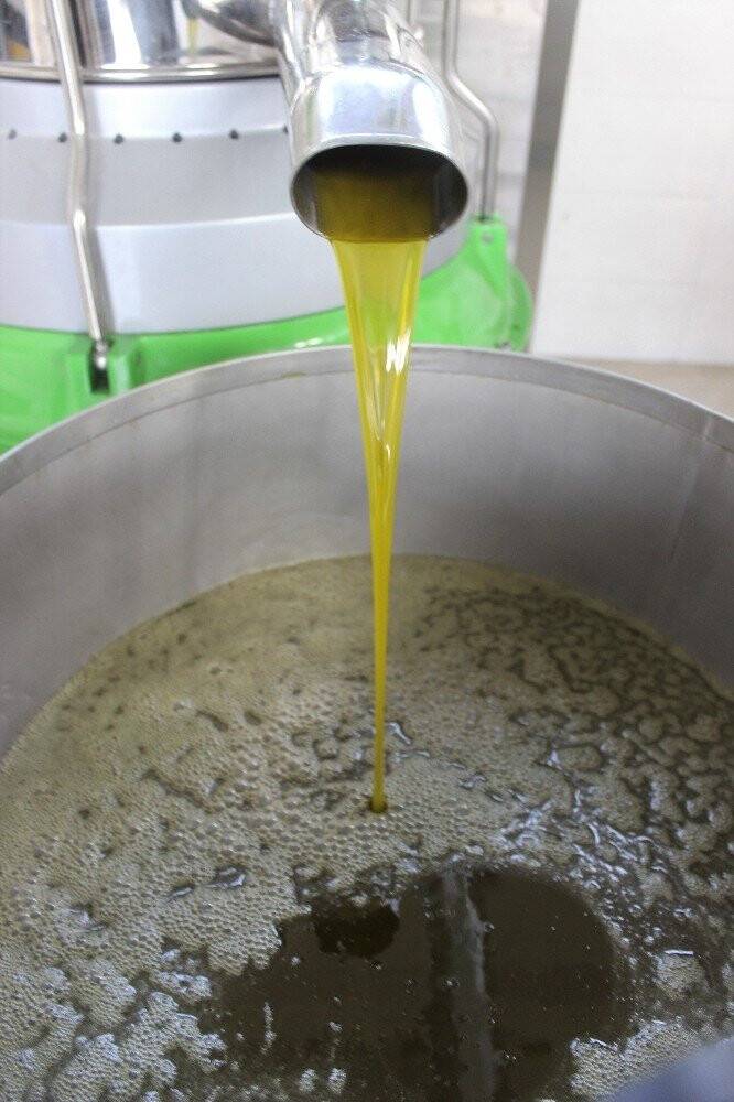 Aralarında para toplayan çiftçiler fabrika kurdu