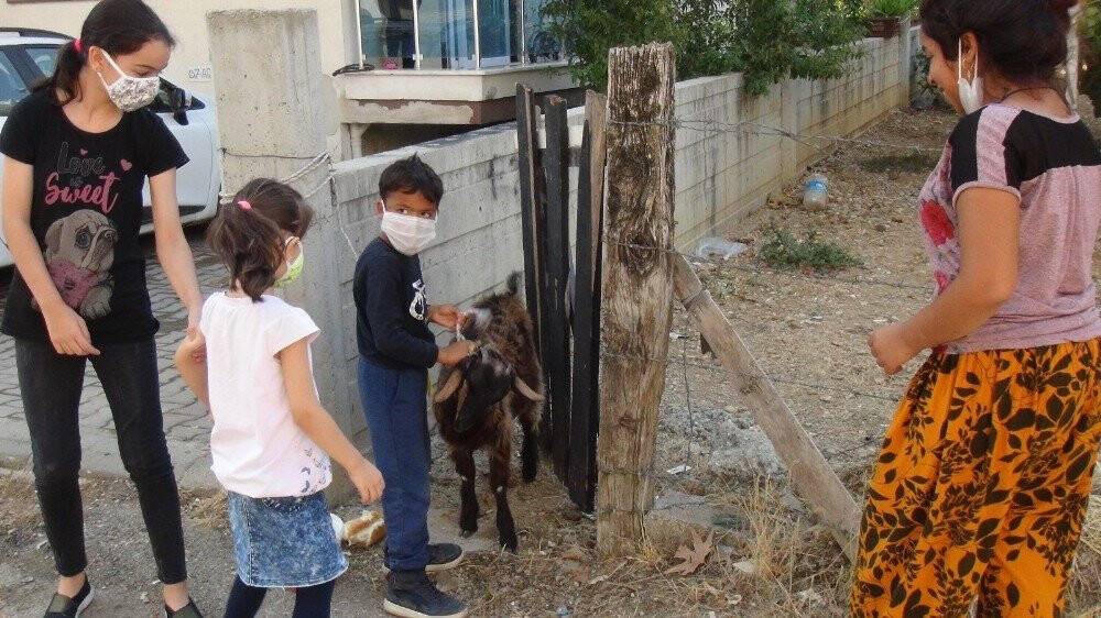 İki kız kardeş sokakta başıboş gezen keçiyi iple bağladıktan sonra polisi aradı