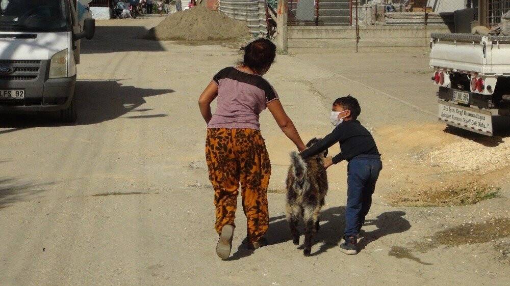 İki kız kardeş sokakta başıboş gezen keçiyi iple bağladıktan sonra polisi aradı