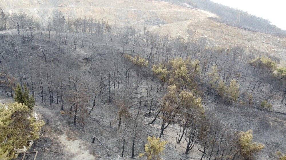 Hatay'daki yangının boyutu gün yüzüne çıktı