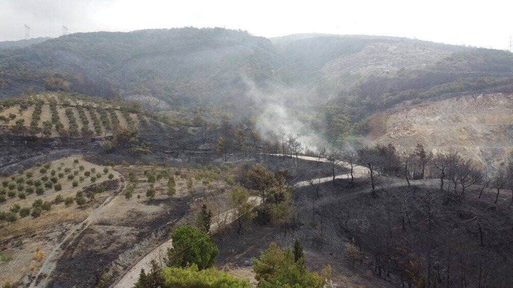 Hatay'daki yangının boyutu gün yüzüne çıktı