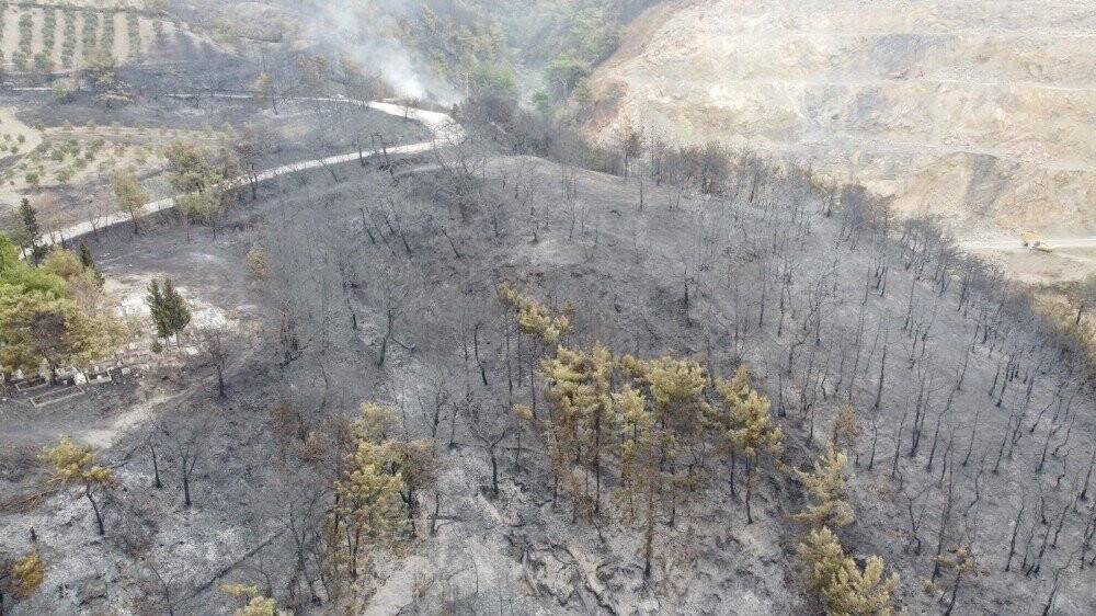 Hatay'daki yangının boyutu gün yüzüne çıktı