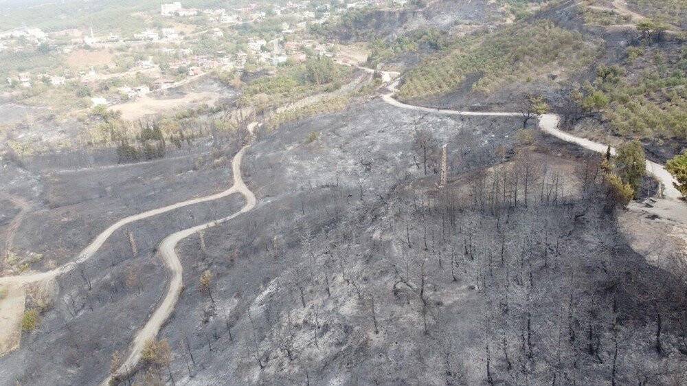 Hatay'daki yangının boyutu gün yüzüne çıktı