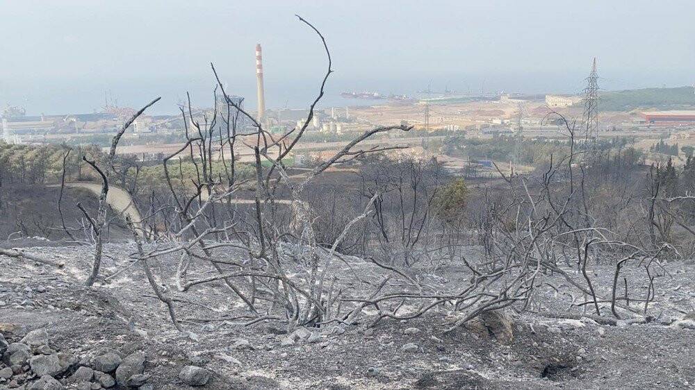 Hatay'daki yangının boyutu gün yüzüne çıktı