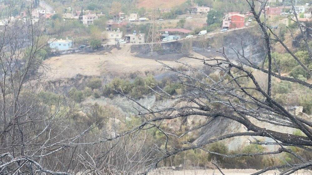 Hatay'daki yangının boyutu gün yüzüne çıktı