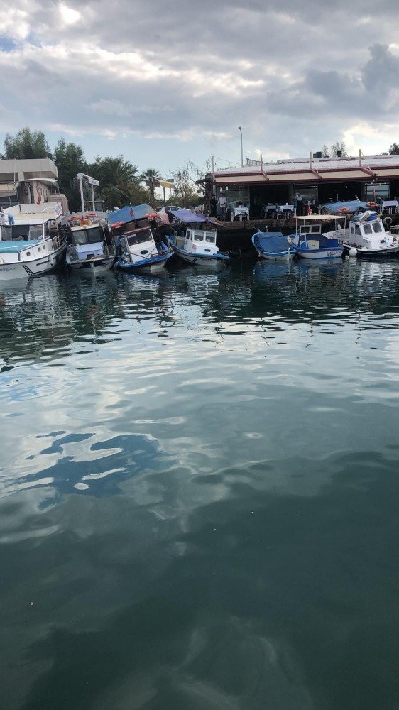 Tsunami, Sığacık’ı yerle bir etti