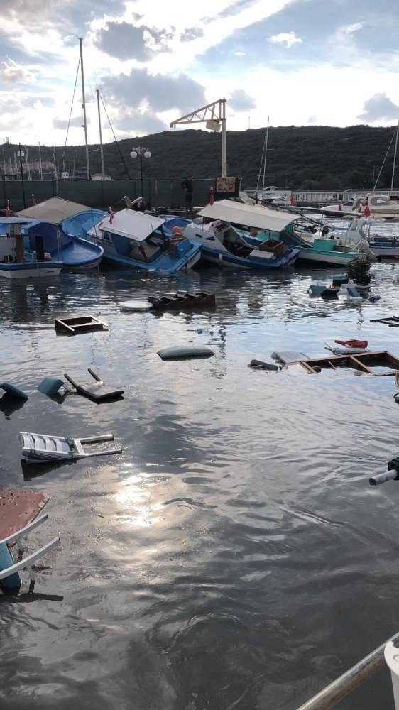 Tsunami, Sığacık’ı yerle bir etti