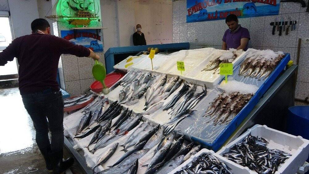Palamut fiyatıyla cep yakıyor
