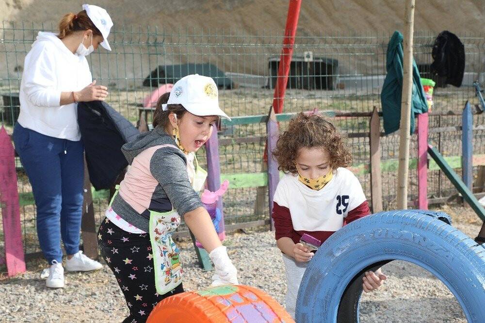 Eski otomobil lastikleri kedilerin yeni yuvası