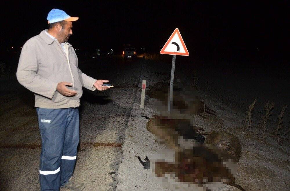 Konya'da kaza! Otomobil koyun sürüsüne daldı, 30 koyun telef oldu