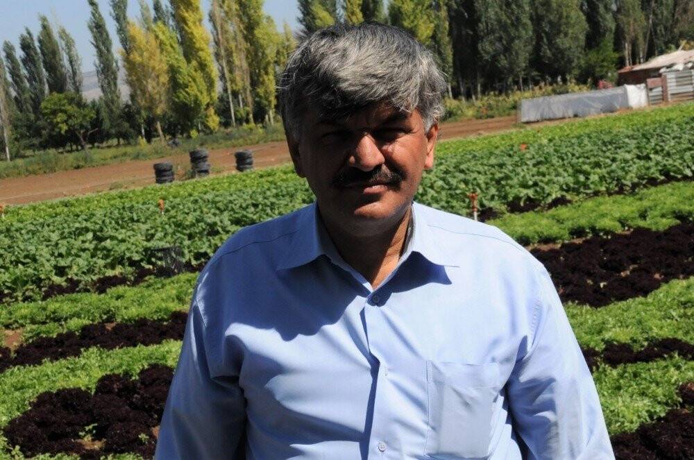 Don ve dolu mısır üretimini düşürdü