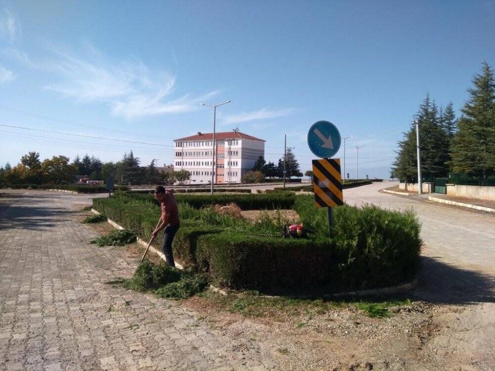 Hüyük’te ağaçlar budanıyor