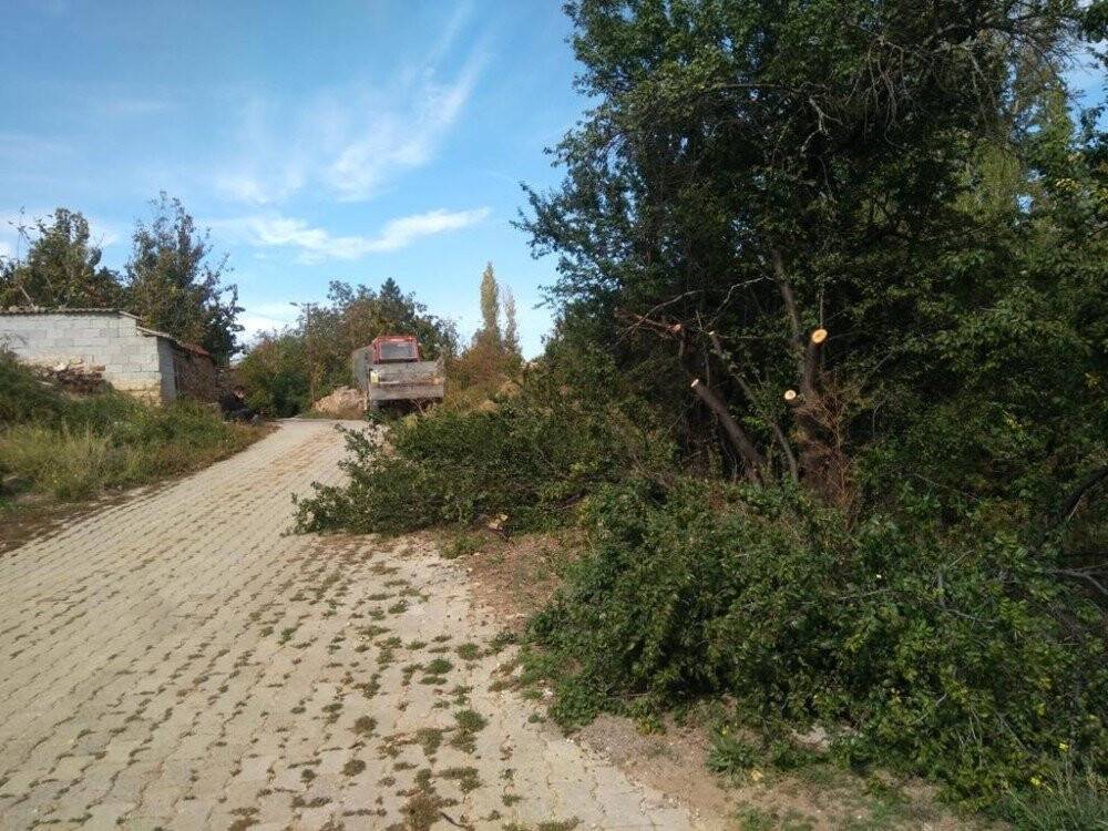 Hüyük’te ağaçlar budanıyor
