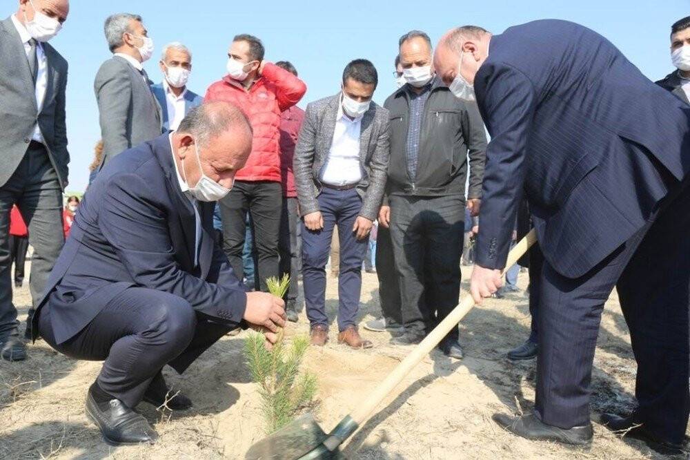 Ereğli Belediyesi binlerce fidanı toprakla buluşturdu