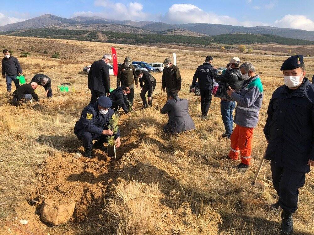 Hüyük’te 'geleceğe nefes' olmak için fidanlar toprakla buluşturuldu
