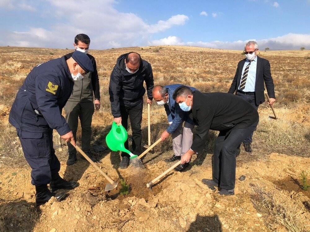 Hüyük’te 'geleceğe nefes' olmak için fidanlar toprakla buluşturuldu