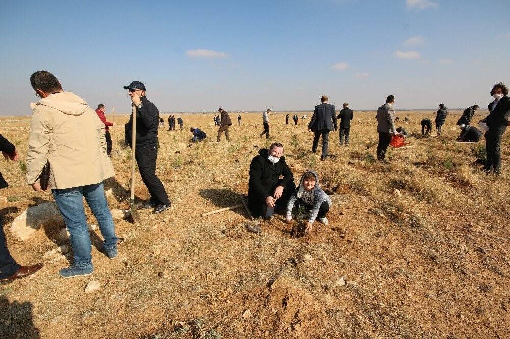 KOSKİ’den 'Geleceğe nefes' kampanyasına 42 bin fidanla destek