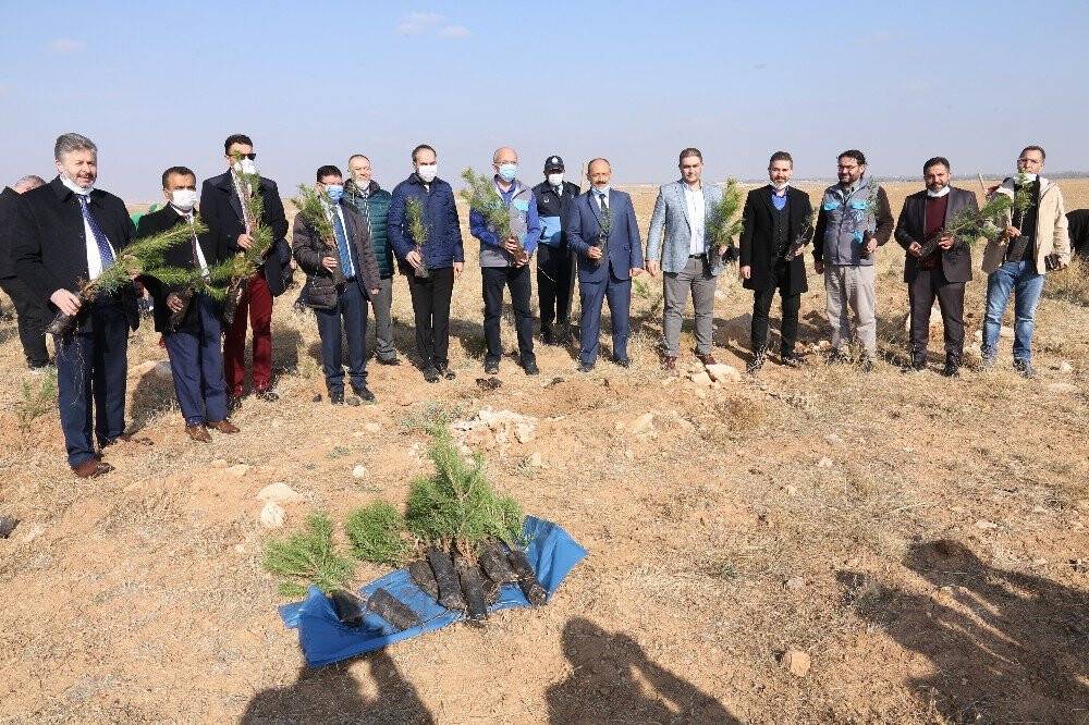 KOSKİ’den 'Geleceğe nefes' kampanyasına 42 bin fidanla destek