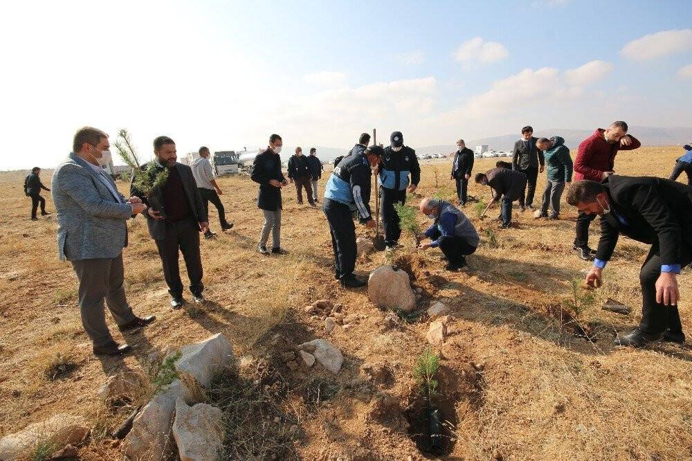 KOSKİ’den 'Geleceğe nefes' kampanyasına 42 bin fidanla destek