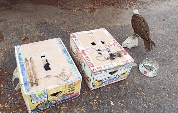 Konya'da canlı mührelerle avlanan 9 kişiye 41 bin lira ceza