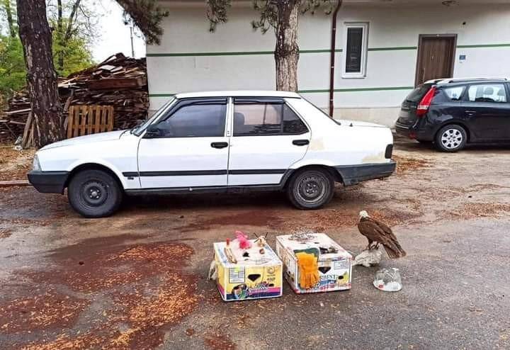 Konya'da canlı mührelerle avlanan 9 kişiye 41 bin lira ceza