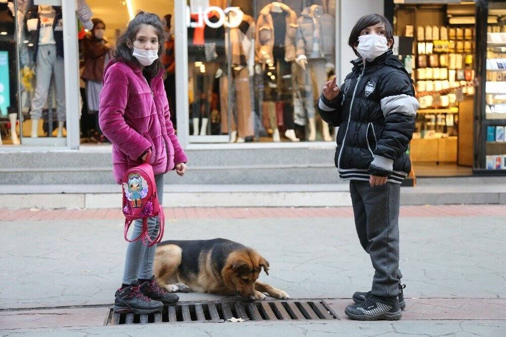 Bir an bile gözlerini ayırmıyordu, mazgal köpeğin sırrı çözüldü