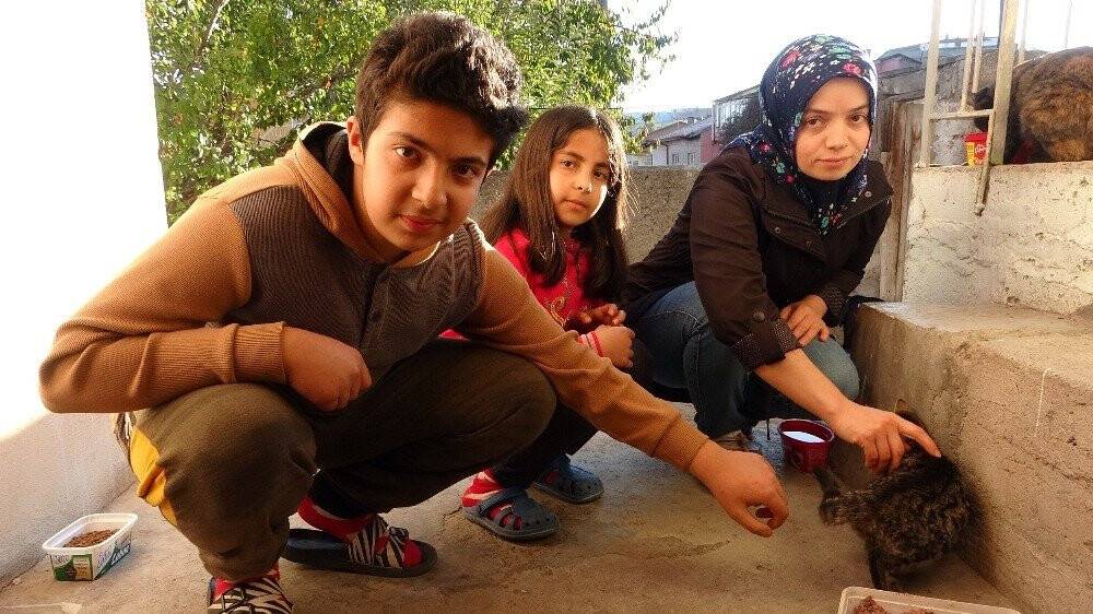 Hayvan sever kadın bu evde ki 60 kediye gözü gibi bakıyor