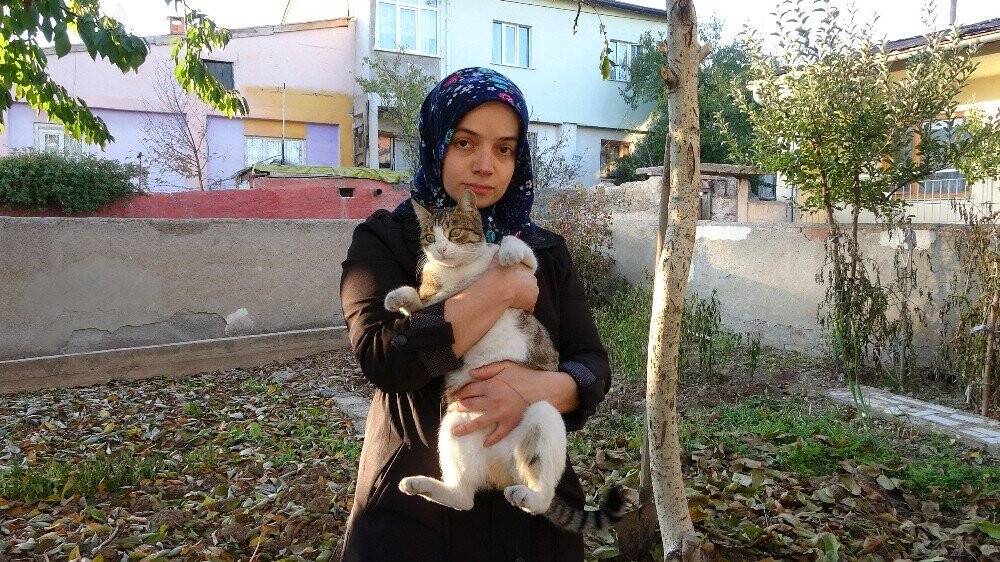 Hayvan sever kadın bu evde ki 60 kediye gözü gibi bakıyor