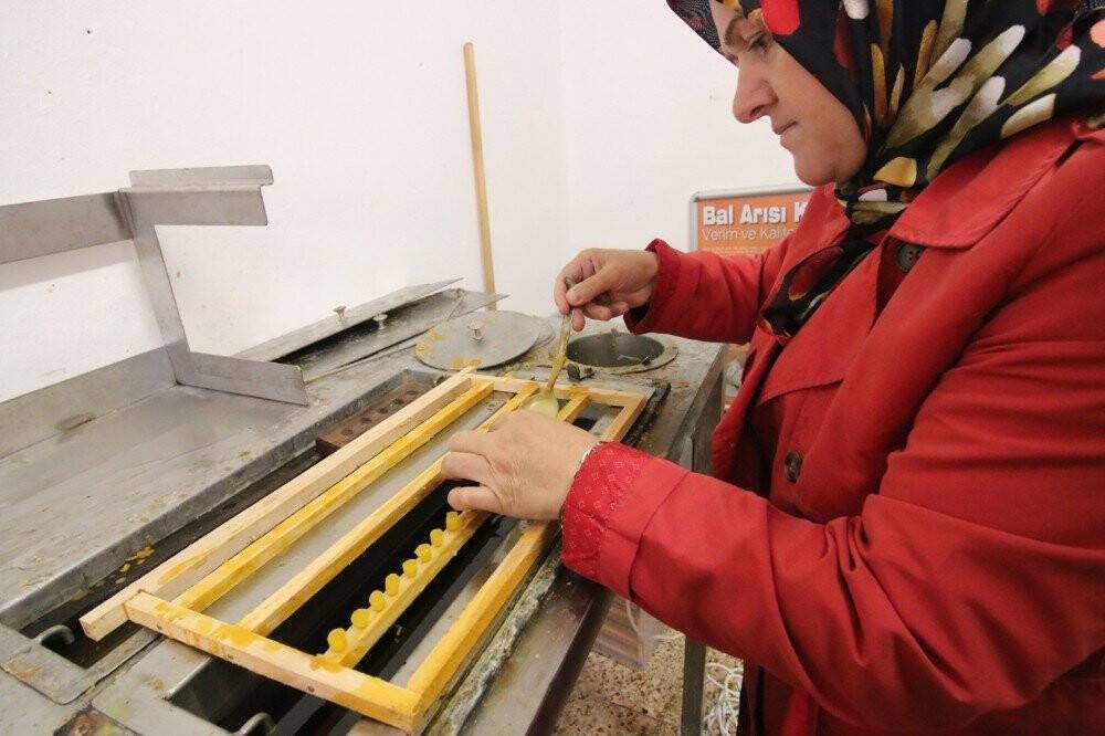 Kadın çiftçilerin arı sütü başarısı