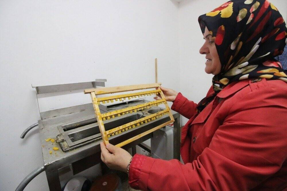 Kadın çiftçilerin arı sütü başarısı
