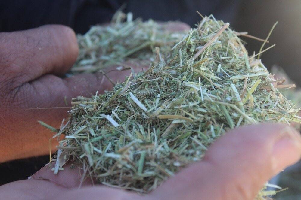 Soğuk havalar saman satışlarını düşürdü