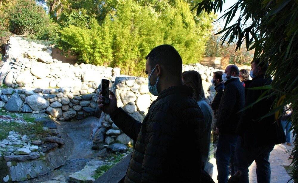 Sevimli penguenler yemek saatini böyle bekliyor