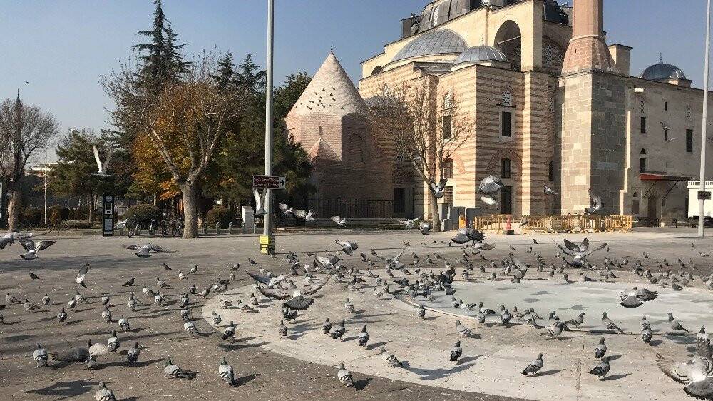 Konya’da sokak ve caddeler sokak hayvanlarına ve kuşlara kaldı
