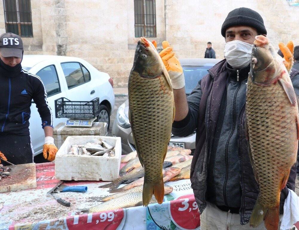 Fırat’ın balıkları geçim kaynağı oldu