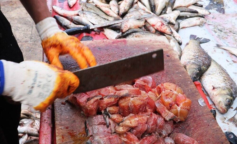 Fırat’ın balıkları geçim kaynağı oldu