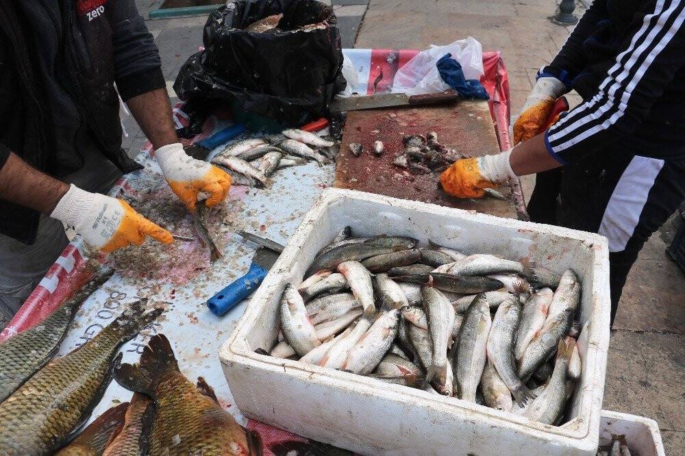 Fırat’ın balıkları geçim kaynağı oldu