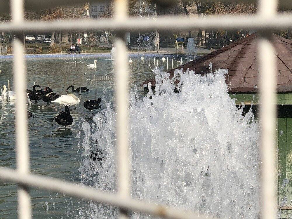 Konya’da aralık ayında güneşli hava keyfi