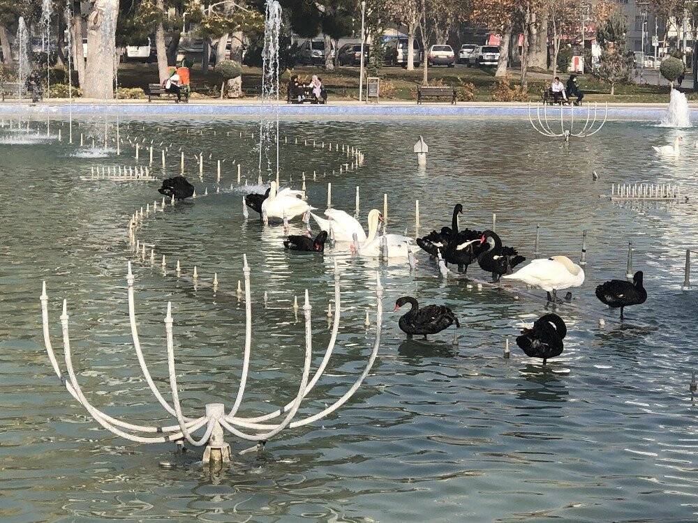 Konya’da aralık ayında güneşli hava keyfi
