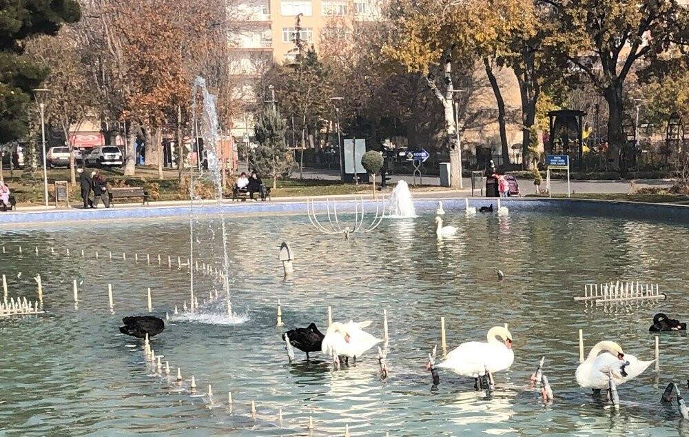 Konya’da aralık ayında güneşli hava keyfi