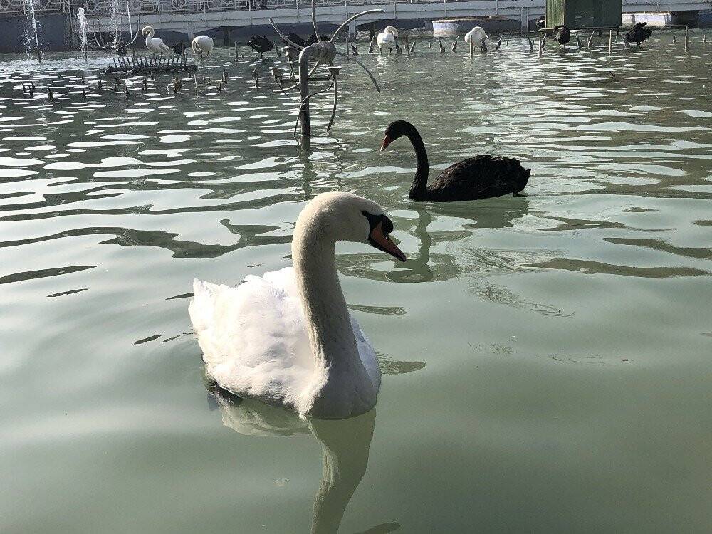 Konya’da aralık ayında güneşli hava keyfi