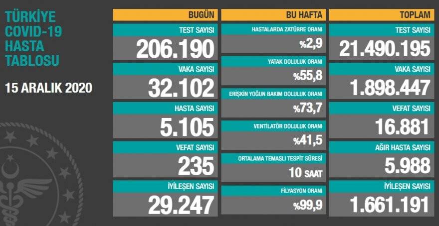 15a.jpg