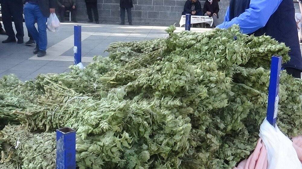 Kış aylarının vazgeçilmez içeceği adaçayına pandemide talep arttı