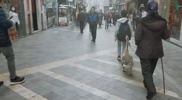 Sokakta görenler dönüp bir daha baktı