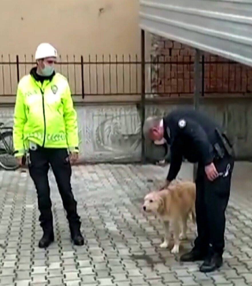 Konya'da köpeği döven şahıs yakalandı