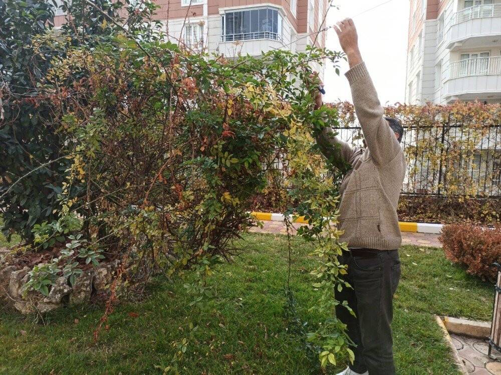 Kapıcılar Kralı filmi Siirt’te gerçek oldu