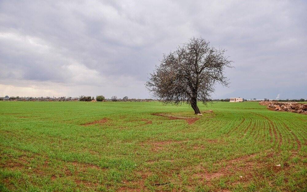 Kepez yeşil alanda altın yıllarını yaşıyor
