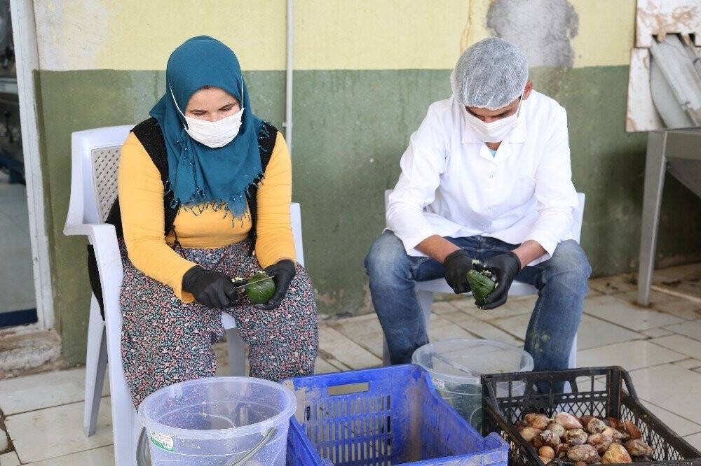 ’Yeşil altın’ olarak biliniyor, litresi 250 liradan satılıyor