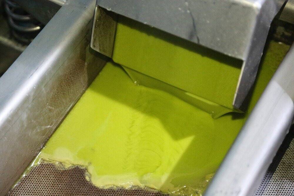 ’Yeşil altın’ olarak biliniyor, litresi 250 liradan satılıyor