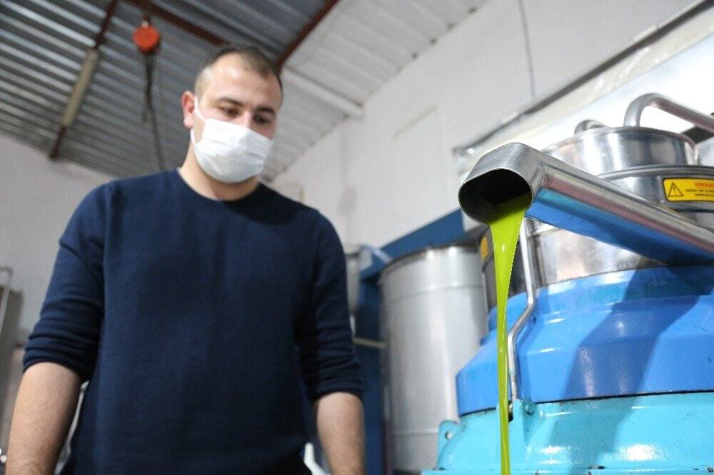 ’Yeşil altın’ olarak biliniyor, litresi 250 liradan satılıyor